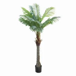 Pianta in vaso decorativa Zephyriel