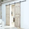 Porta scorrevole a doppia anta Mallothra