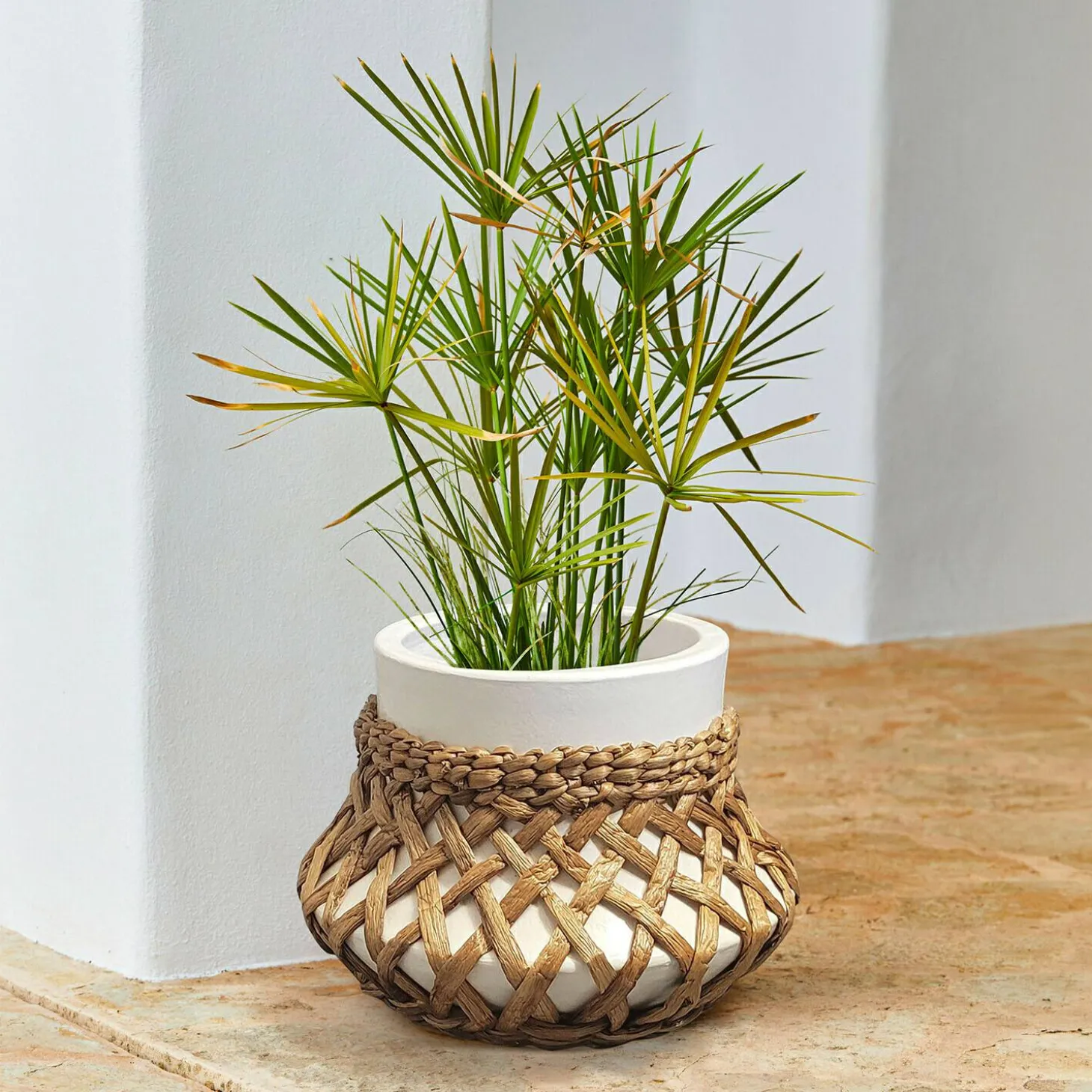 Portavaso Amariel