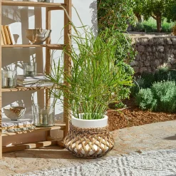 Portavaso Amariel