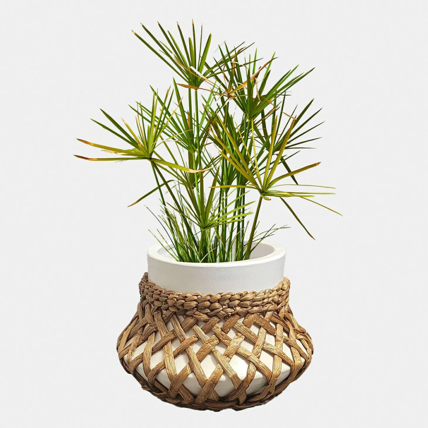 Portavaso Amariel