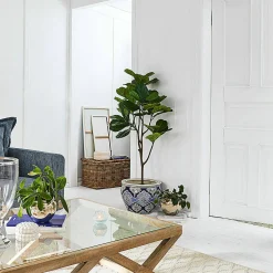 Portavaso Aurélie