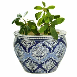 Portavaso Aurélie