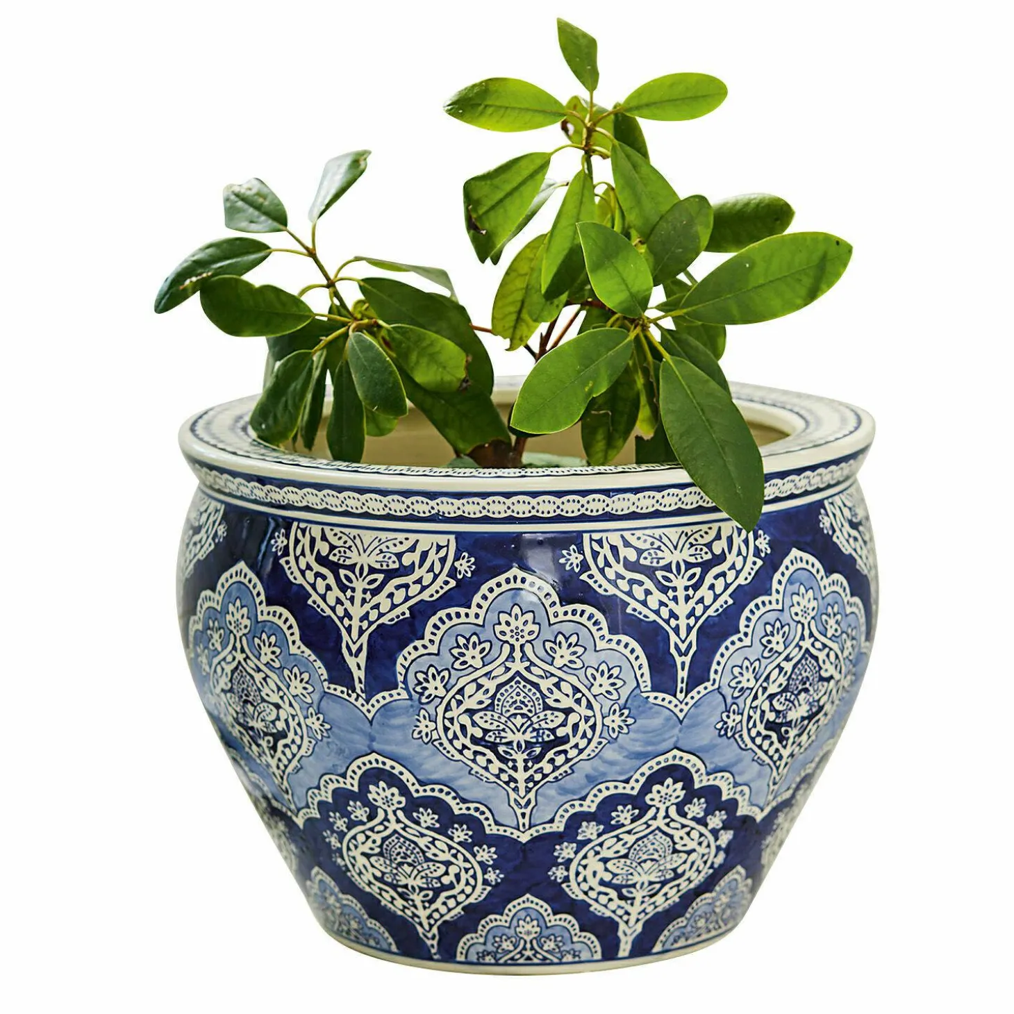 Portavaso Aurélie