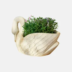 Portavaso Belmarie