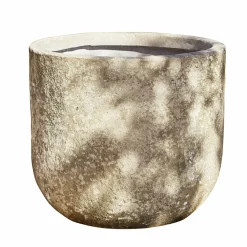 Portavaso Ela