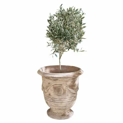 Portavaso Garwood