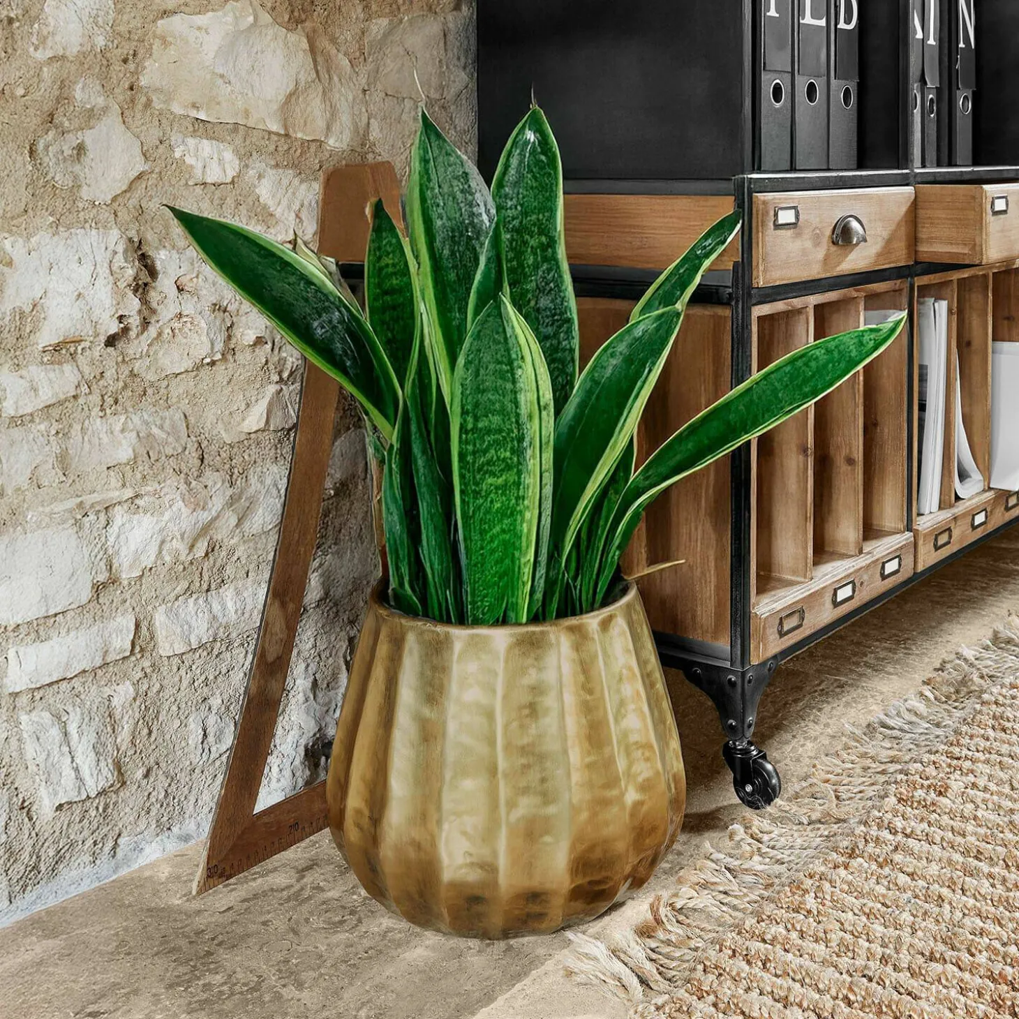 Portavaso Havelle
