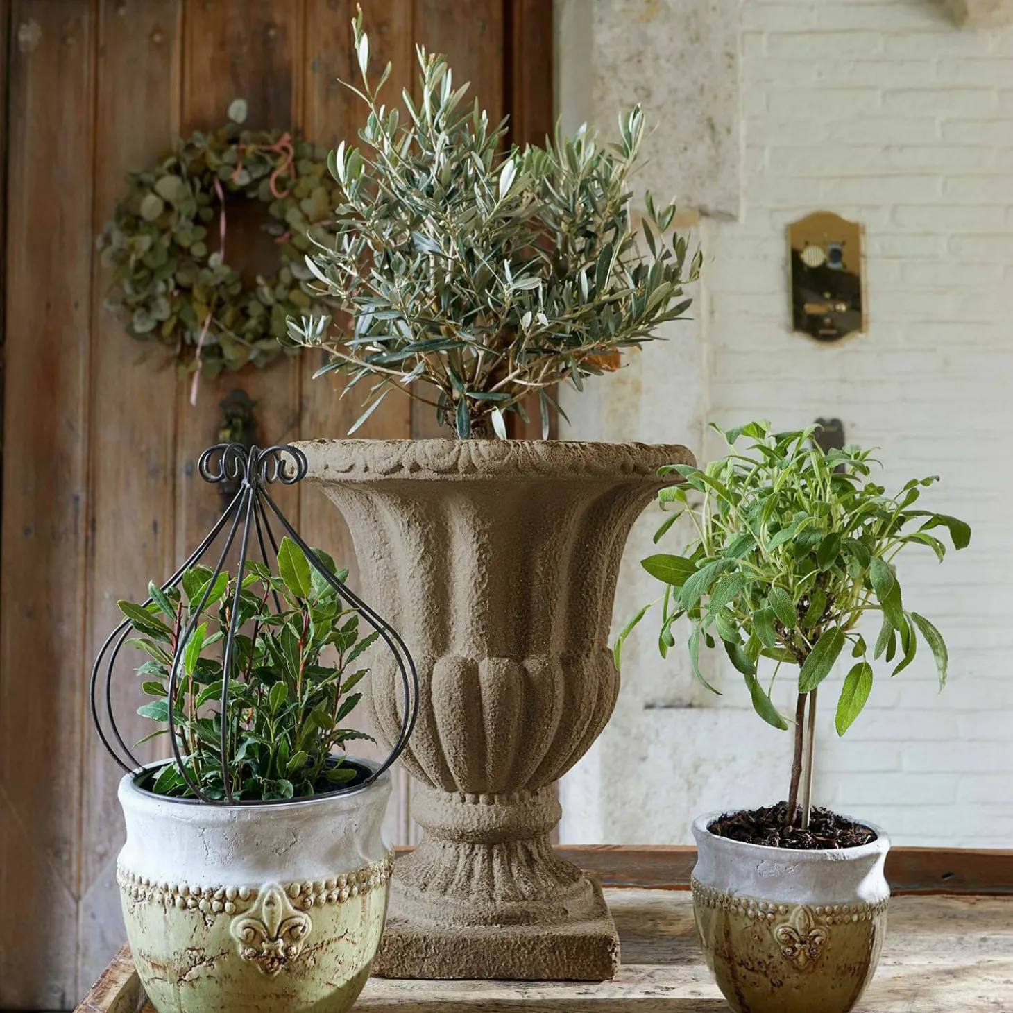 Portavaso Lachamp