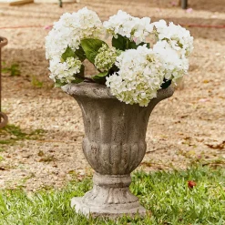 Portavaso Lachamp