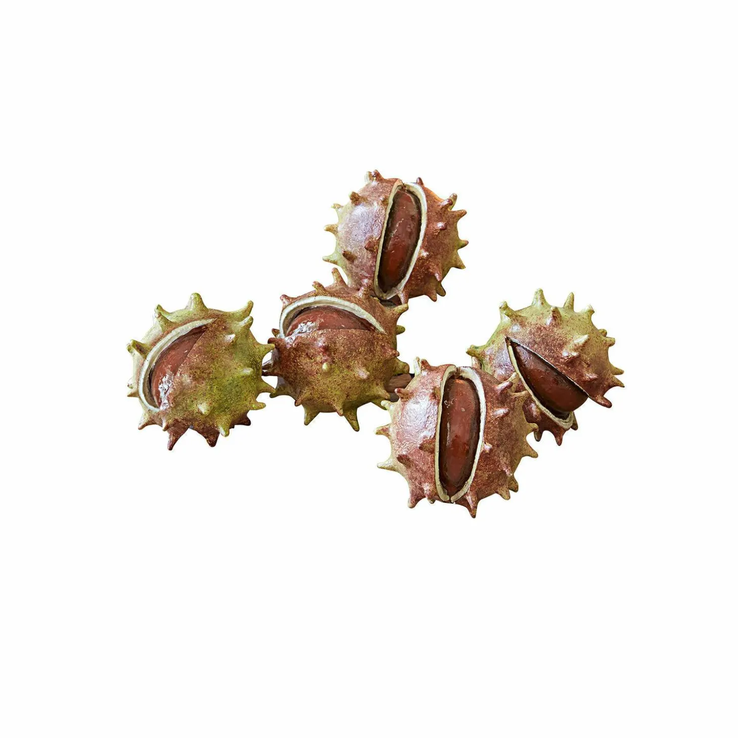 Set di 5 castagne decorative Léo