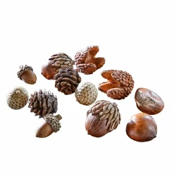 Set di 12 decorazioni autunnali Vibius