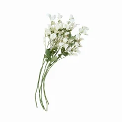 Set di 6 fiori Clavigny