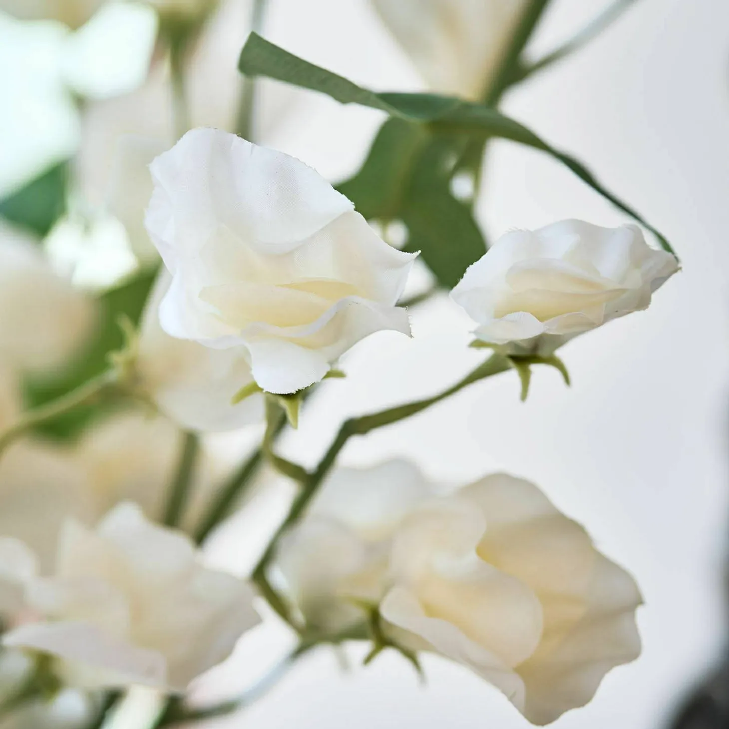 Set di 6 fiori Clavigny