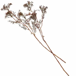 Set di 4 fiori decorativi Jennings