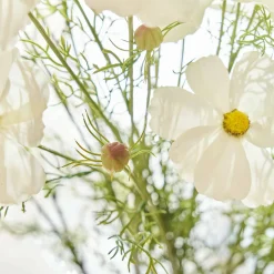 Set di 6 fiori decorativi Lunavelle