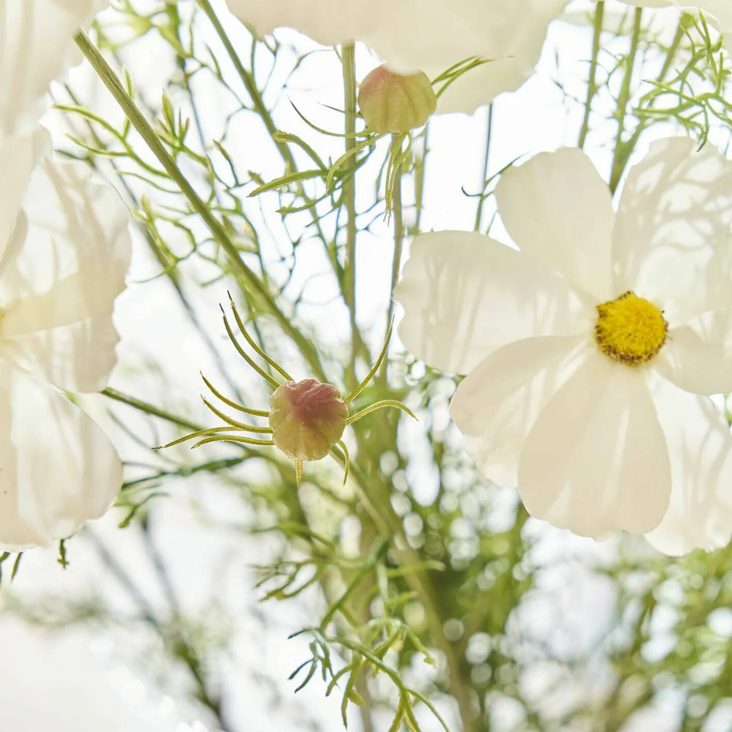 Set di 6 fiori decorativi Lunavelle