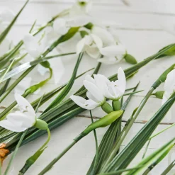 Set di 12 fiori decorativi Willmare