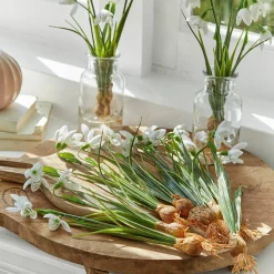 Set di 12 fiori decorativi Willmare