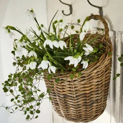 Set di 12 fiori decorativi Willmare
