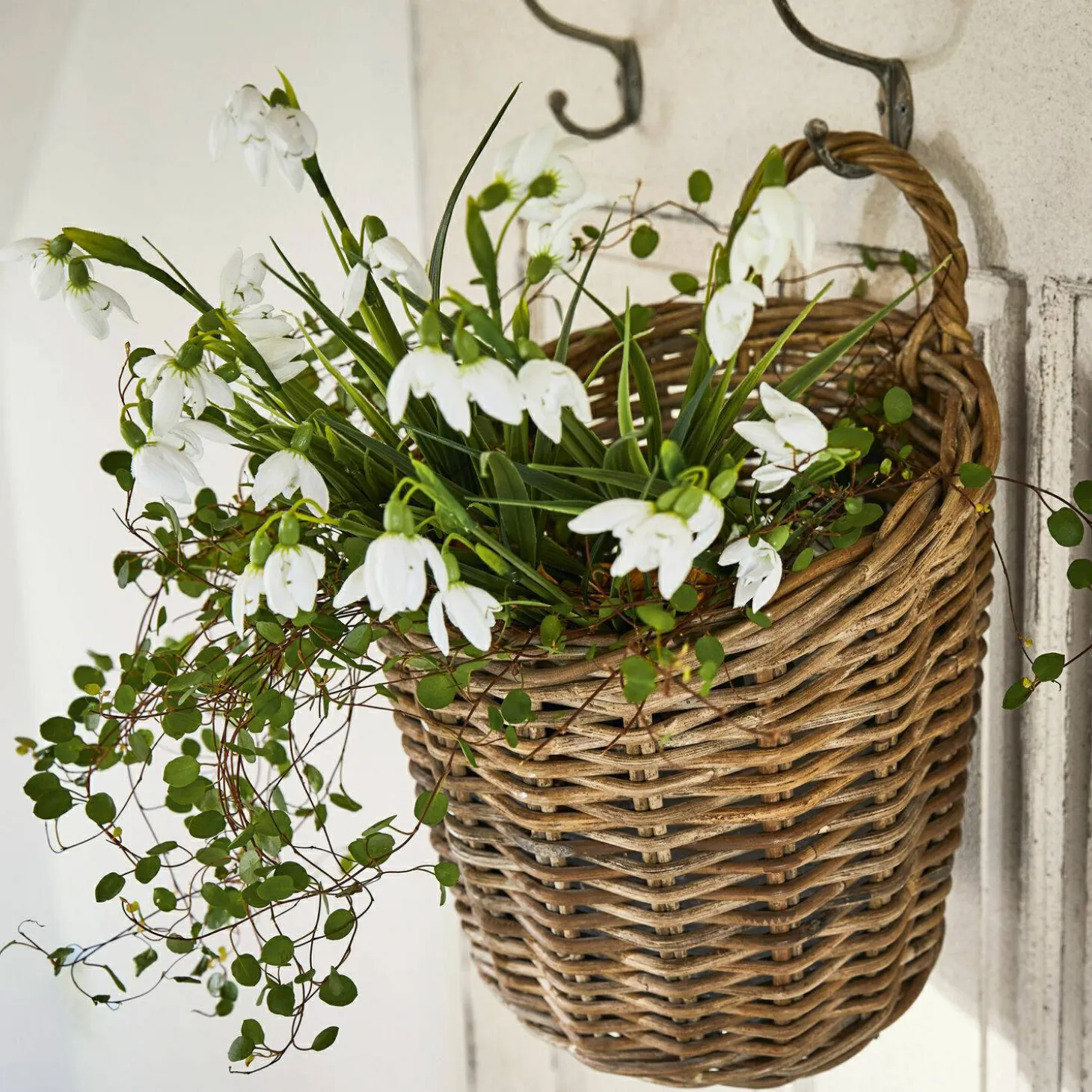 Set di 12 fiori decorativi Willmare