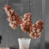 Set di 3 fiori decorativi Ylvi