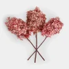 Set di 3 fiori secchi Amélorie