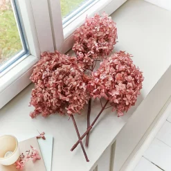 Set di 3 fiori secchi Amélorie