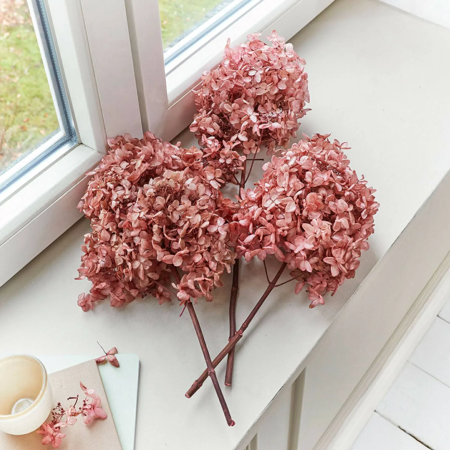 Set di 3 fiori secchi Amélorie