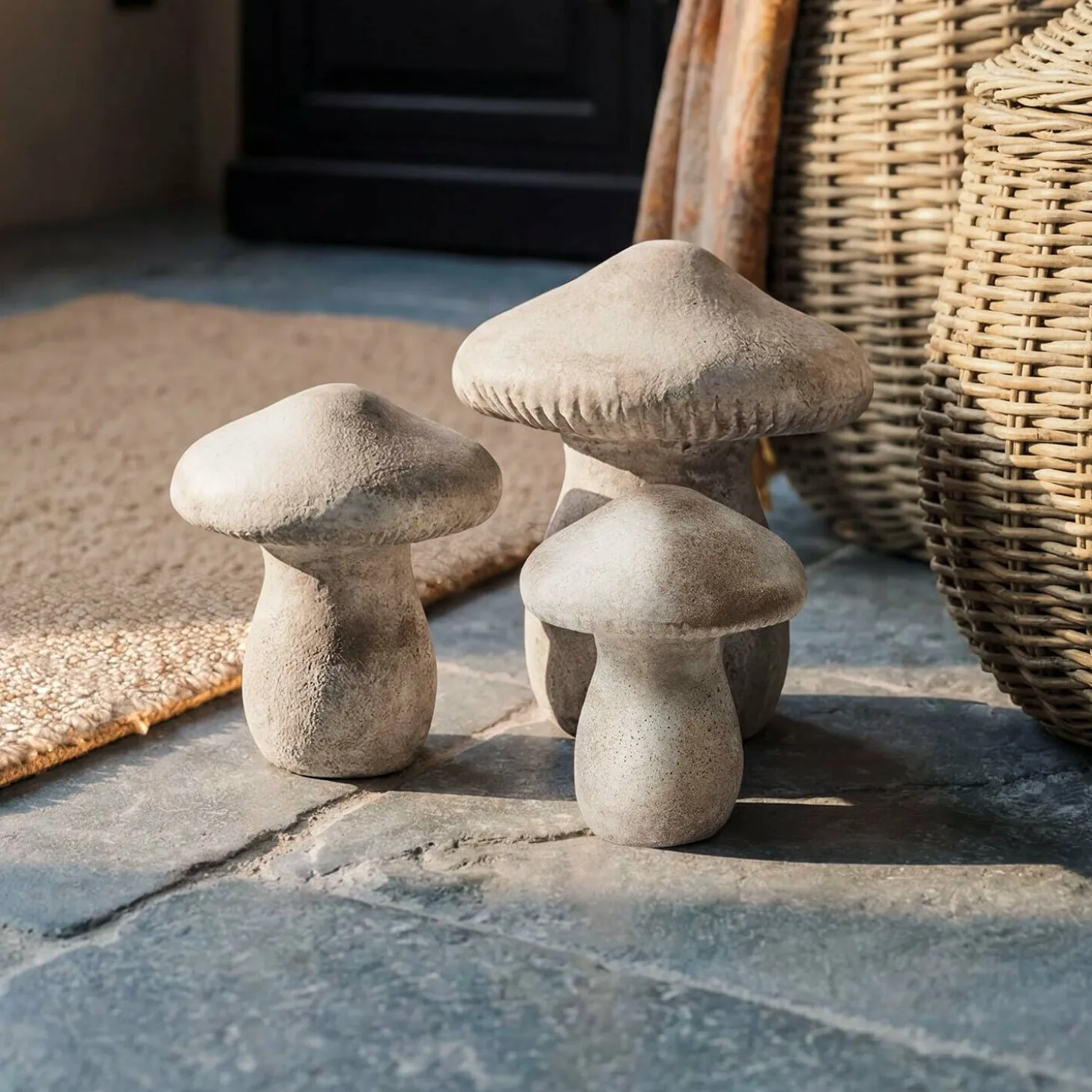 Set di 3 funghi Rynmor