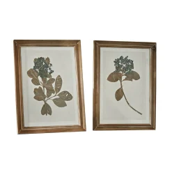 Set di 2 immagini Tanneau