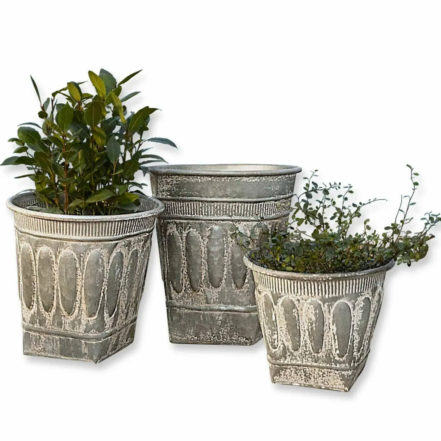 Set di 3 portavasi Bakersfield