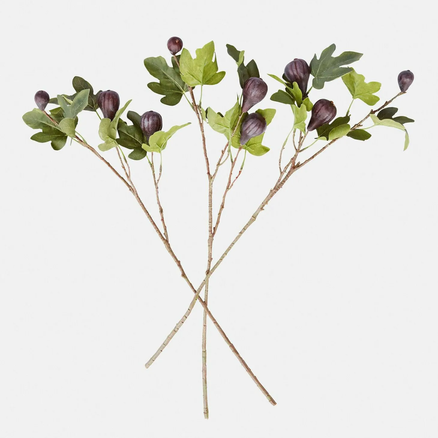 Set di 3 rami decorativi Alverino