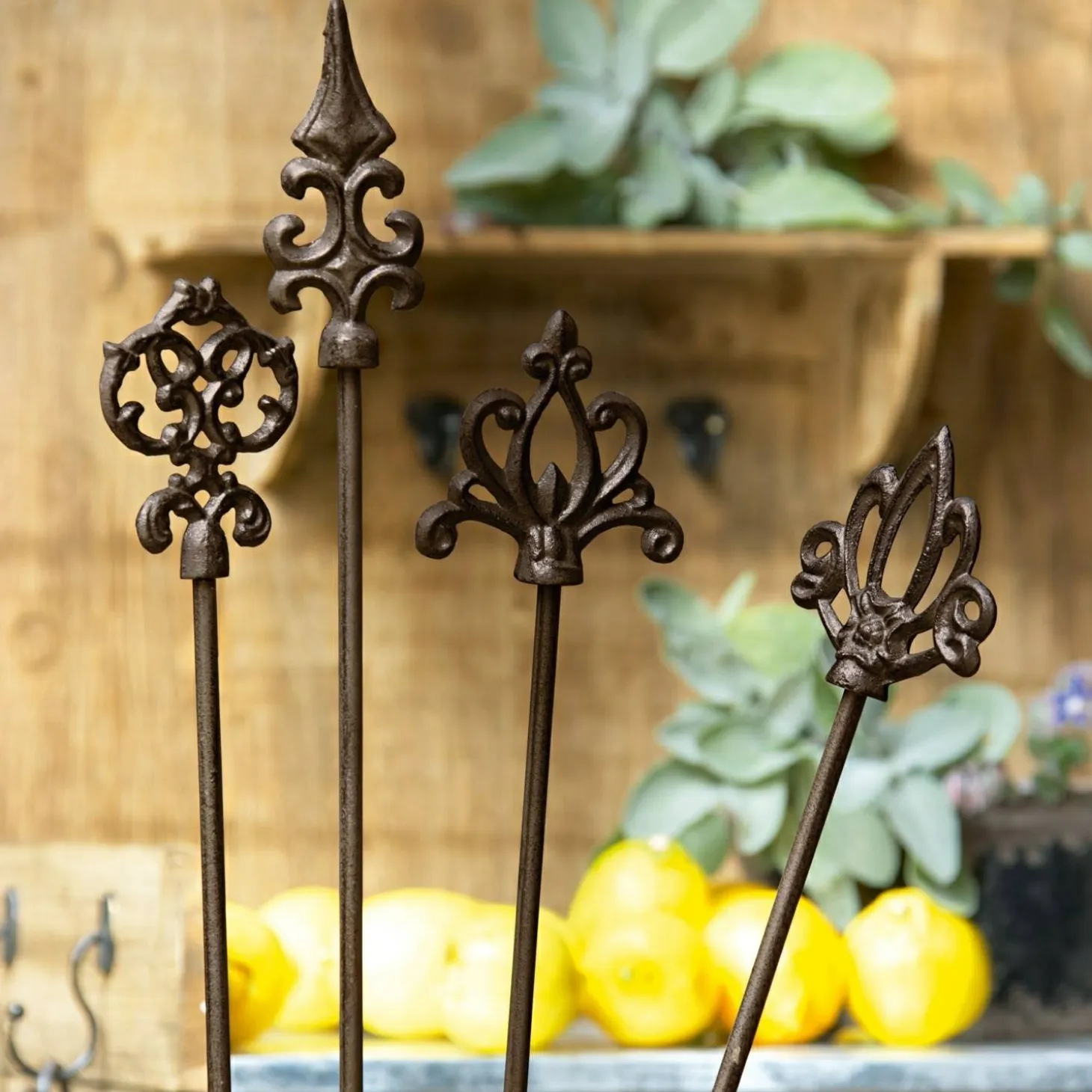Set di 4 sostegni per rose Baton