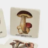 Set di 4 sottobicchieri Jandoria