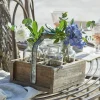Set di 4 vasetti con cassetta Reverie