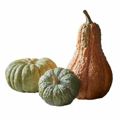 Set di 3 zucche decorative Raliven