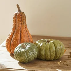 Set di 3 zucche decorative Raliven