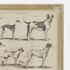 Stampa decorativa Wendrel