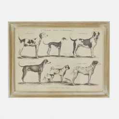 Stampa decorativa Wendrel
