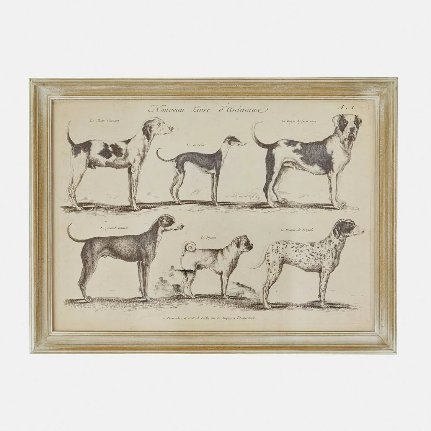Stampa decorativa Wendrel