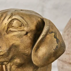Testa di cane decorativa Nareen