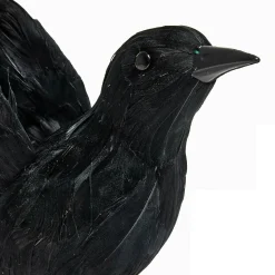 Uccello decorativo Faelron