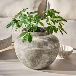Vaso Haldoríe