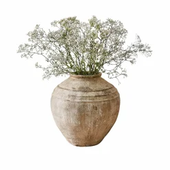 Vaso Lanster