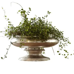 Vaso Loyère