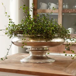 Vaso Loyère