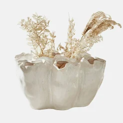 Vaso Rovinia