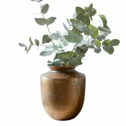 Vaso Toulane