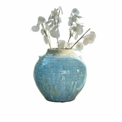 Vaso Trevigno